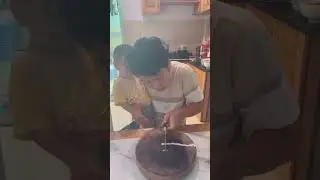 CRUSH FACTZ YT p512  😱🐕🤯 #shorts, #ytshorts #shortsvideo