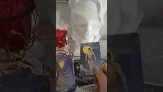 Богиня Фемида на страже закона, порядка и справедливости 🆘+79109877209(смс)