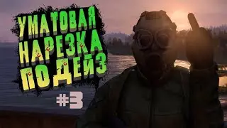 DAYZ ДМ ТОПОВАЯ НАРЕЗКА 2023 #3