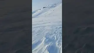 25 марта 2022 г.
