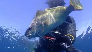 Pesca alla corvina di giufre' giuseppe