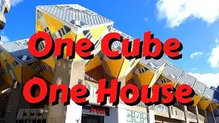 Cube Houses Rotterdam / Hang On Pylons like Forest Kenopy in Netherlands / Europe / Life in Germany