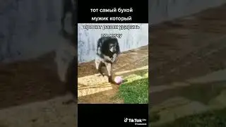 6 июля 2024 г.