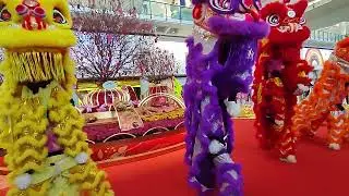 GONG XI FAT CHOI 2023