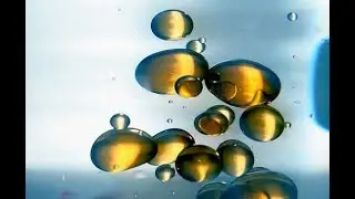 МҰНАЙ ЭМУЛЬСИЯСЫ
