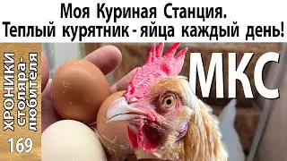 Теплый курятник с выгулом: от и до своими руками.