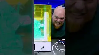 When the resin hits extra hard on the Elegoo saturn 4 ultra! #elegoo #resin #ultra #saturn