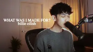 What Was I Made For? - Billie Eilish (acoustic cover)