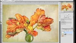 Using the French Script Photoshop Brushes