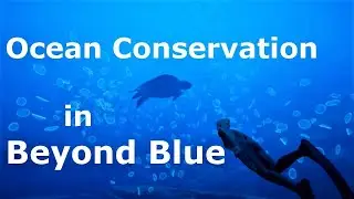 How to Save the Ocean: Understanding Ocean Science and Conservation in Beyond Blue (2020)