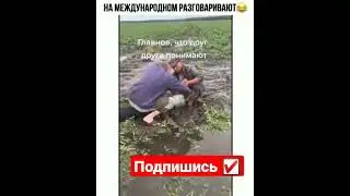 Нашли Международный Язык🤣🤣#мемасики#мемы#мем#прикол#орунемогу#цешо#юмор#шутки#смех#видос#тикток#жиза