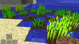 How to find and grow wheat on Minecraft Pocket Edition