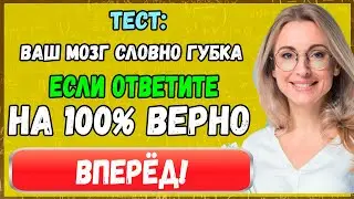 Тест: Ваш мозг словно губка, если ответите на 100% верно