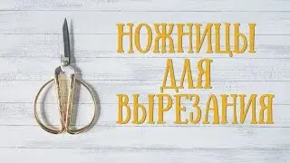 Скрапбукинг/инструменты: ножницы для вырезания из Сима-Ленд