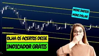 Estou Assustado Com os Acertos Desse Indicador Grátis Para ProfitChart Day Trade Mini Índice Dólar