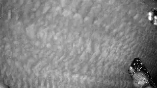 RMS BR0012 20240121 210620 739198 timelapse