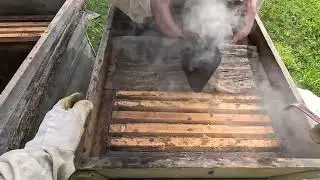 ПЕРЕВОЗКА ПЧЁЛ ПРОСТО.