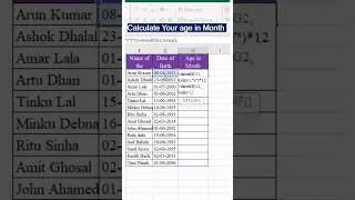 Calculation of Age in Months 
