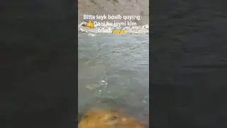 Shunaqa joyda oʻtrsak mazzada