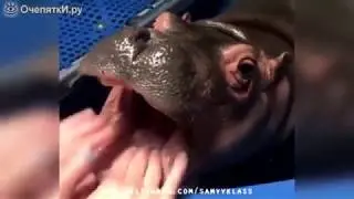 НЕОЖИДАННО...