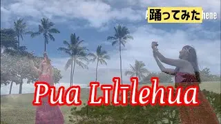 [踊ってみた]Pua Līlīlehua / Choreography by Mana