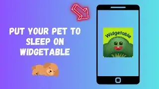 How To Put Your Pet To Sleep On Widgetable