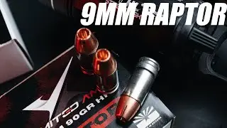 The 