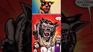 The Wolverine From Dogpool's Universe 😅