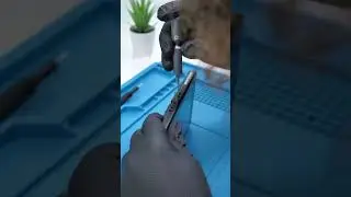 Nintendo Switch OLED Mod? 