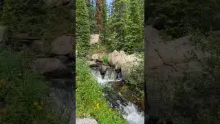Amazing Colorado Mountain Stream