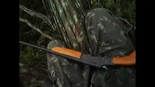 Caçada de cotia deu boa