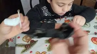 Как Разобрать машину Разборка Форд 