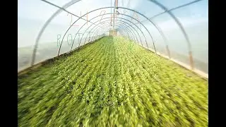 24 ЧАСА В ТЕПЛИЦЕ ЧЕЛЛЕНДЖ...