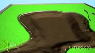 Природный плавательный пруд: конструкция