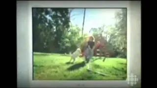 Pet Food   A Dog's Breakfast CBC Doc Zone
