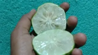 रात को सोते हैं लेकिन उनके पास सिर्फ इतना है 😭😭😭
