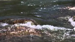 Посреди потока  Камень и Вода на Солнце