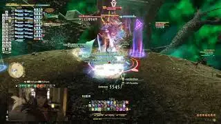FFXIV Raid Fails - How Healers Work Together