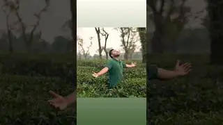Embracing Nature's Peace 🍃🌺