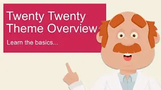 Twenty Twenty Theme by WordPress, an Overview and Setup Guide