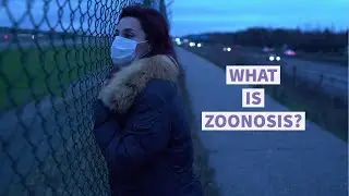WHAT IS ZOONOSIS? AND HOW IT'S RELATED TO COVID-19?