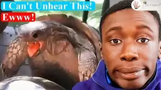 Reacting to the Funniest Videos I found Today on #TikTok and #Intagram ! 😆