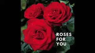 Far Away (Instrumental Version)