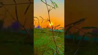Tumne Apno Ko Bhula Diya | कैसा सिला दिया ये वफ़ा का | सब कुछ भुला दिया | Sad Love Status Video |
