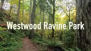 Westwood Ravine Park