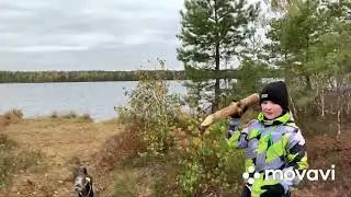 1 октября 2022 г.