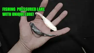 Fishing Heavy Pressured Lake with Unique Lure
