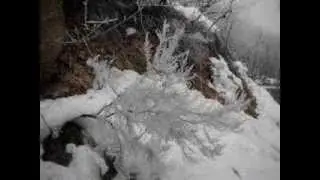galaverna.wmv