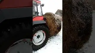 Перевозка рулона шилом