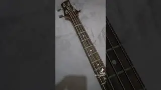 Another new bass day!